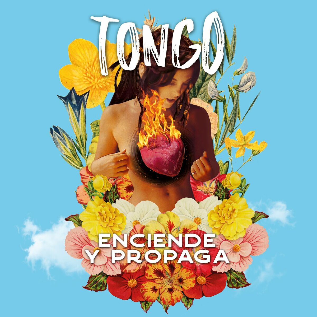 Tongo Chop Suey Cumbia lyrics and songs Deezer