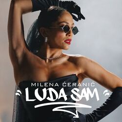 Cover of Luda Sam