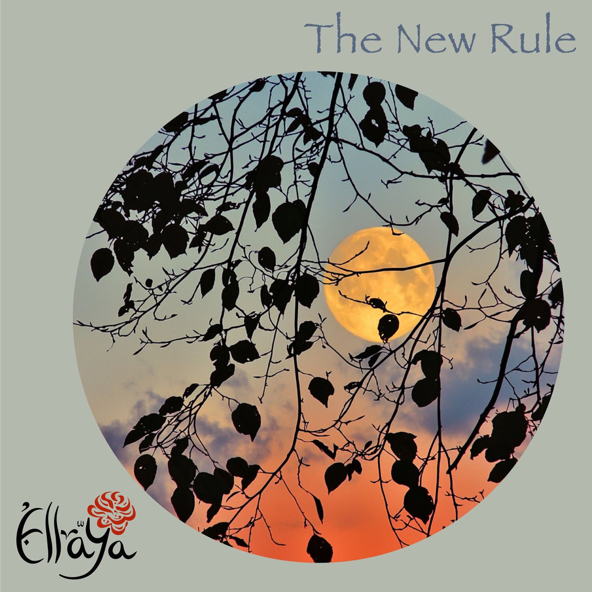 Album cover of The New Rule