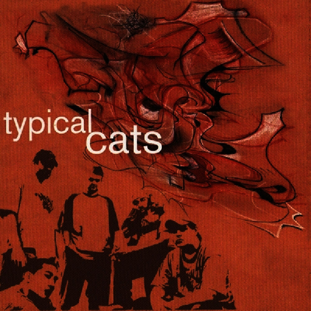 Picture of Typical Cats