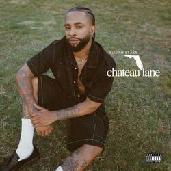 Cover of Chateau Lane