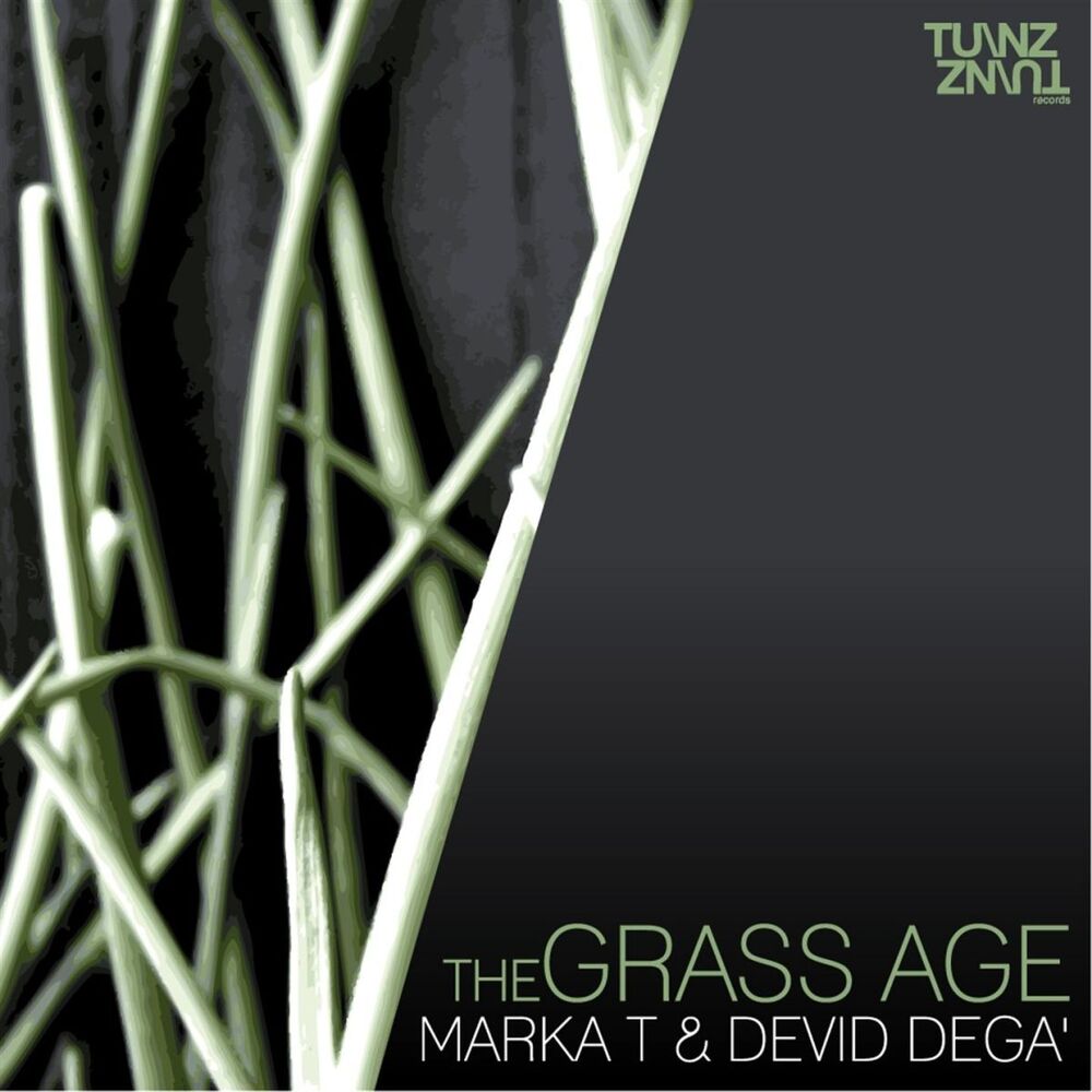 Picture of The Grass Age - EP