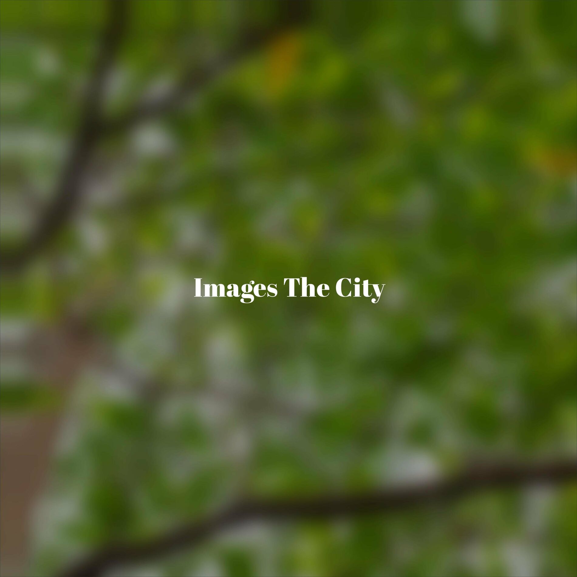 Album cover of Images The City