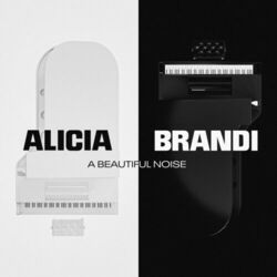 Cover of A Beautiful Noise