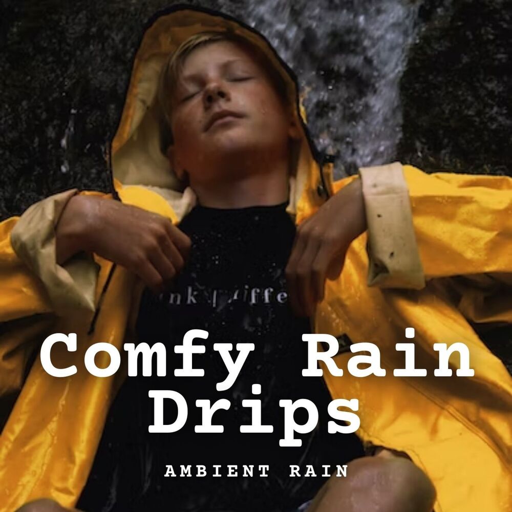 Picture of Ambient Rain: Comfy Rain Drips