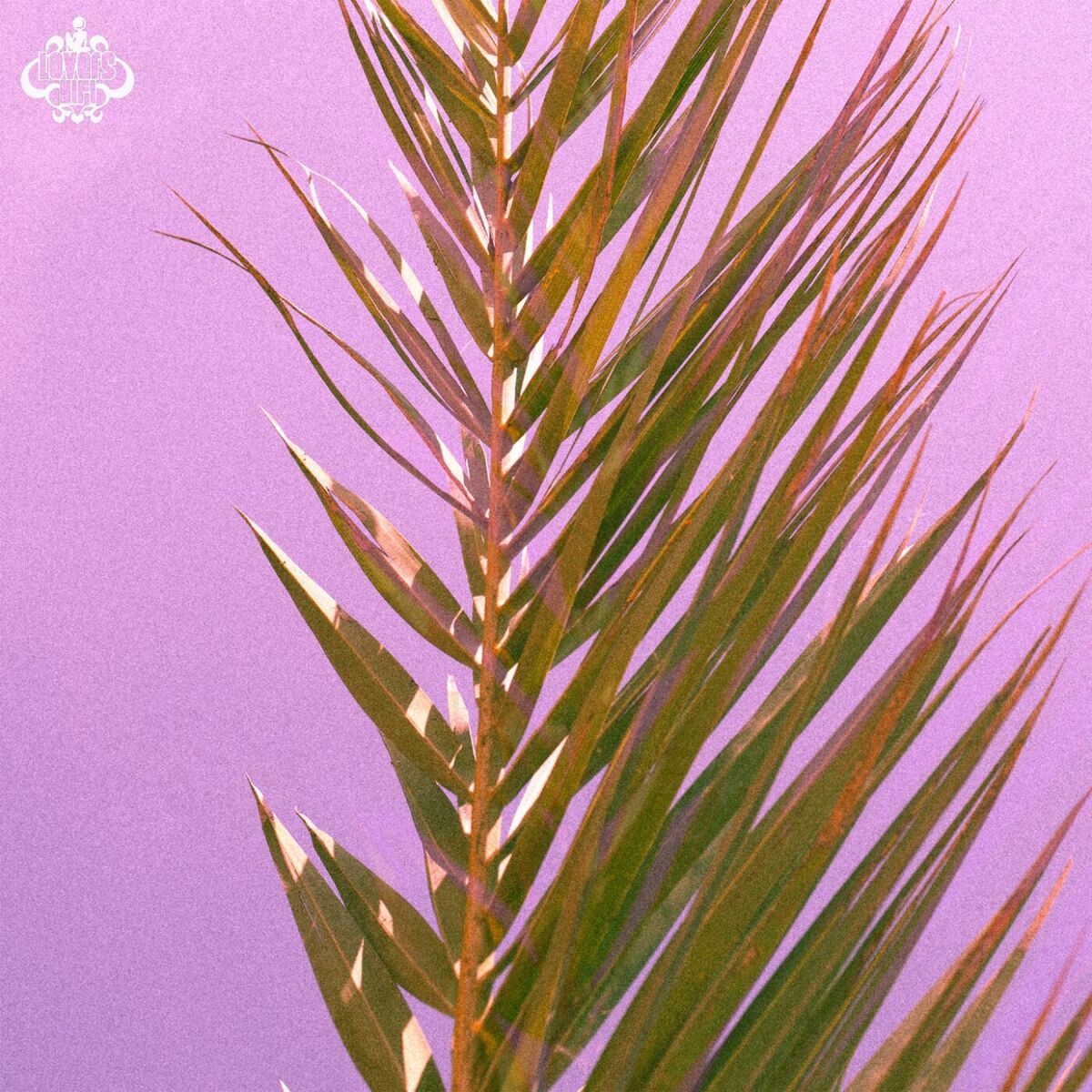 Album cover of Lax Lax / Slowfidelity
