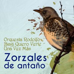 Cover of Zorzales de Antaño - Orquesta Rodolfo Biagi - Quiero Verte Una Vez Más