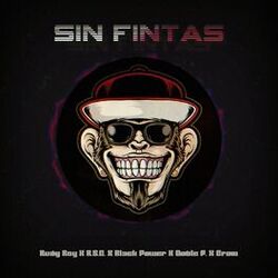 Cover of Sin Fintas