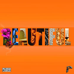 Cover of Beautiful
