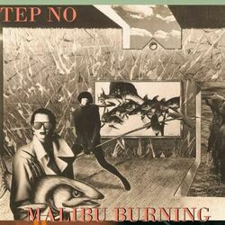 Cover of Malibu Burning