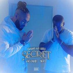 Cover of DANS LE LIEU SECRET