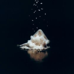 Pochette album