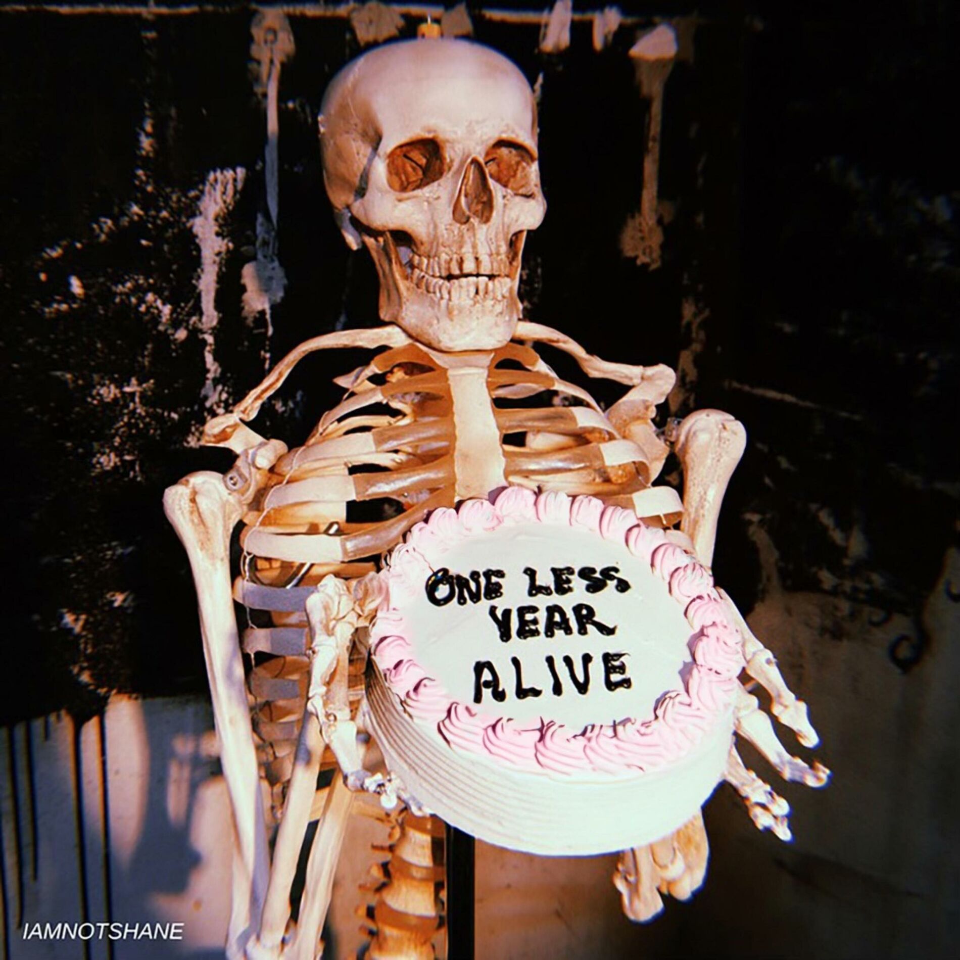 Album cover of One Less Year Alive (Deluxe)
