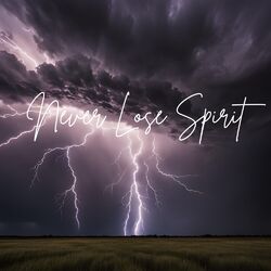 Cover of Never Lose Spirit