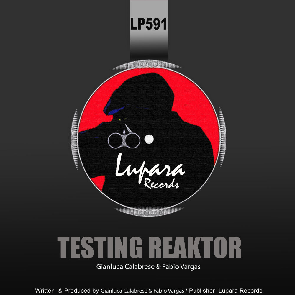 Picture of Testing Reaktor