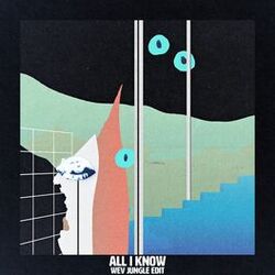 Cover of All I Know (wev Jungle Edit)