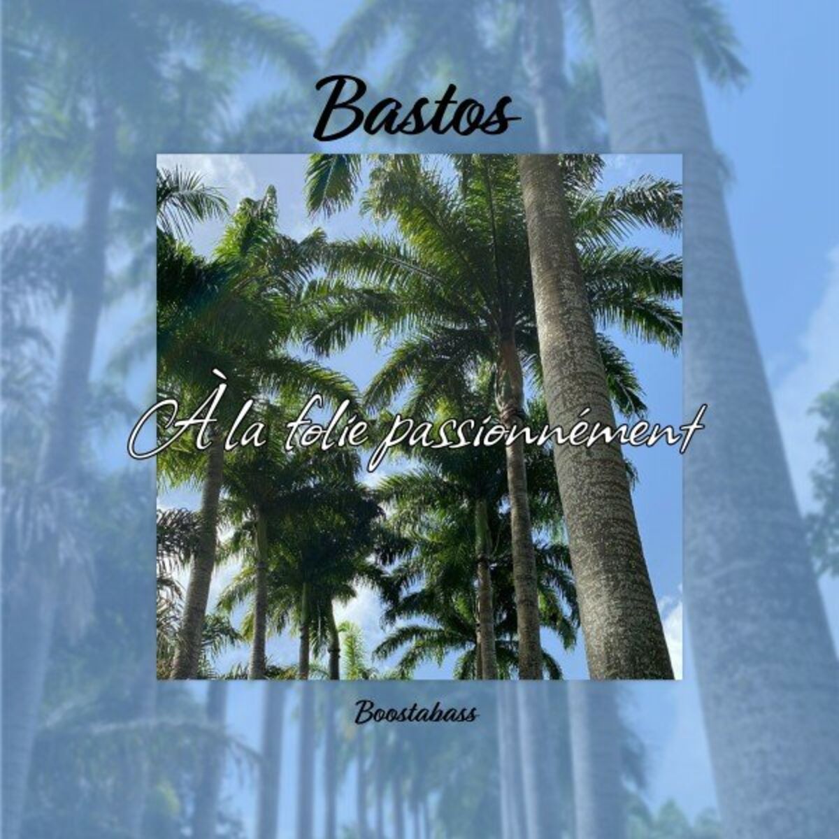 Album cover of À la folie passionnément