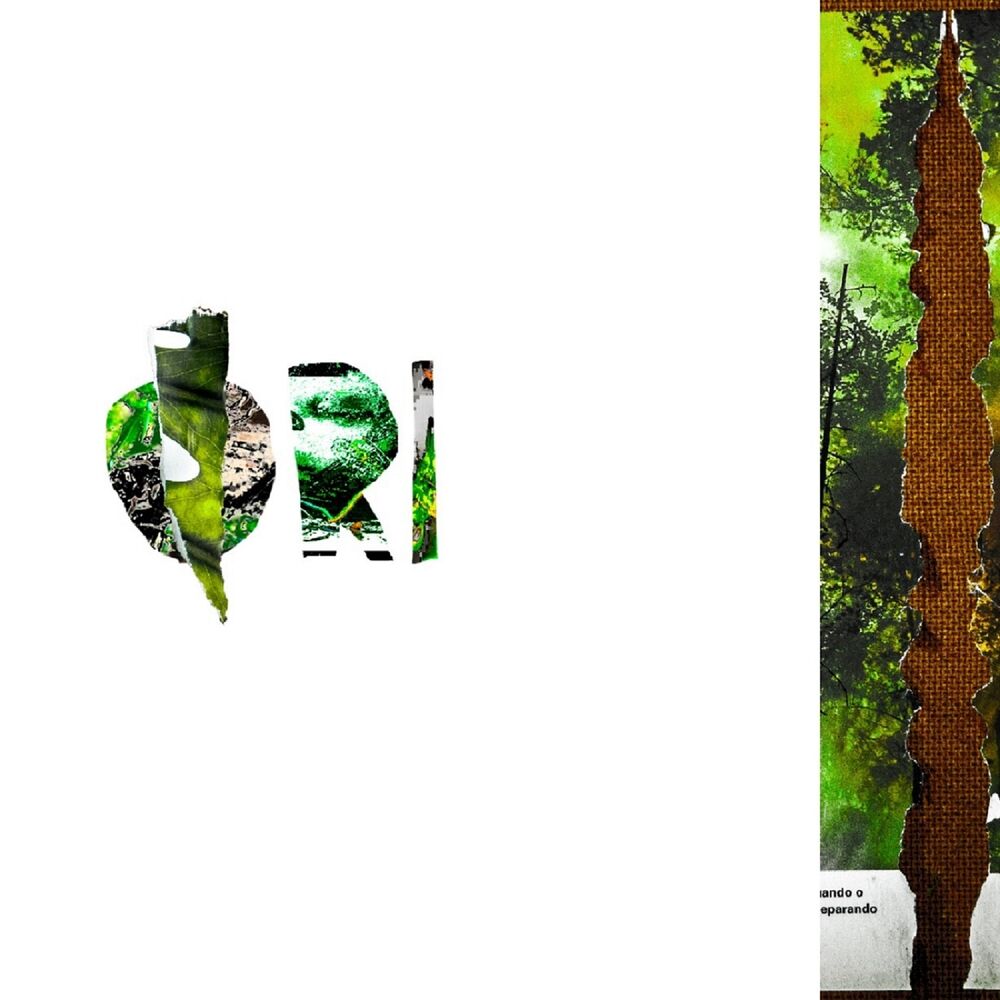 Picture of Ori
