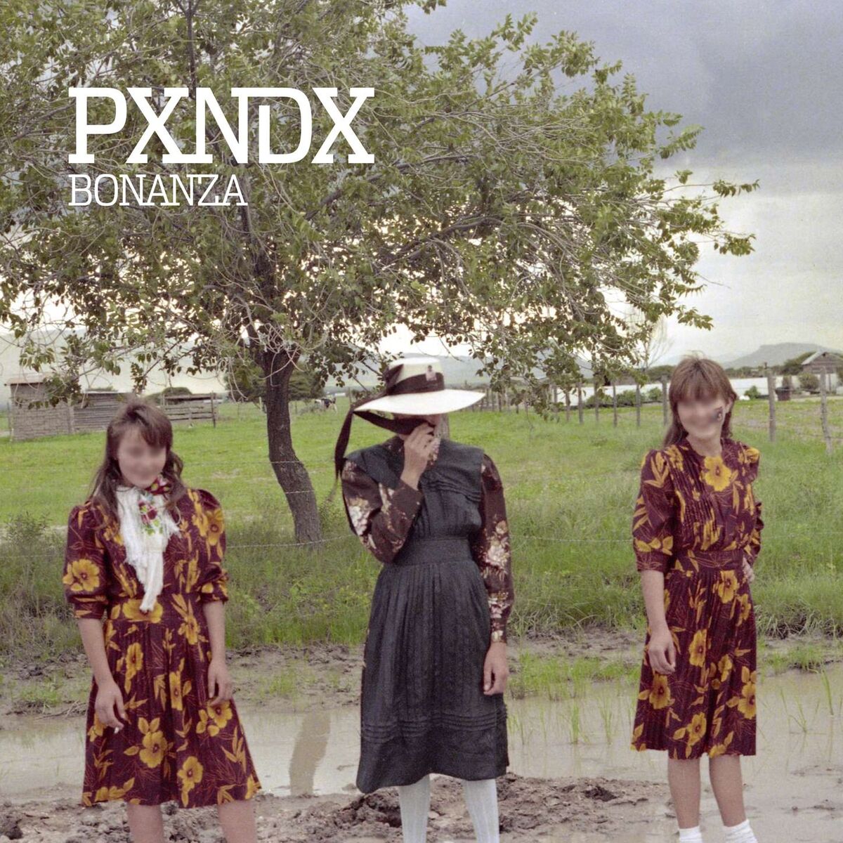 Album cover of Bonanza
