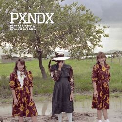 music cover