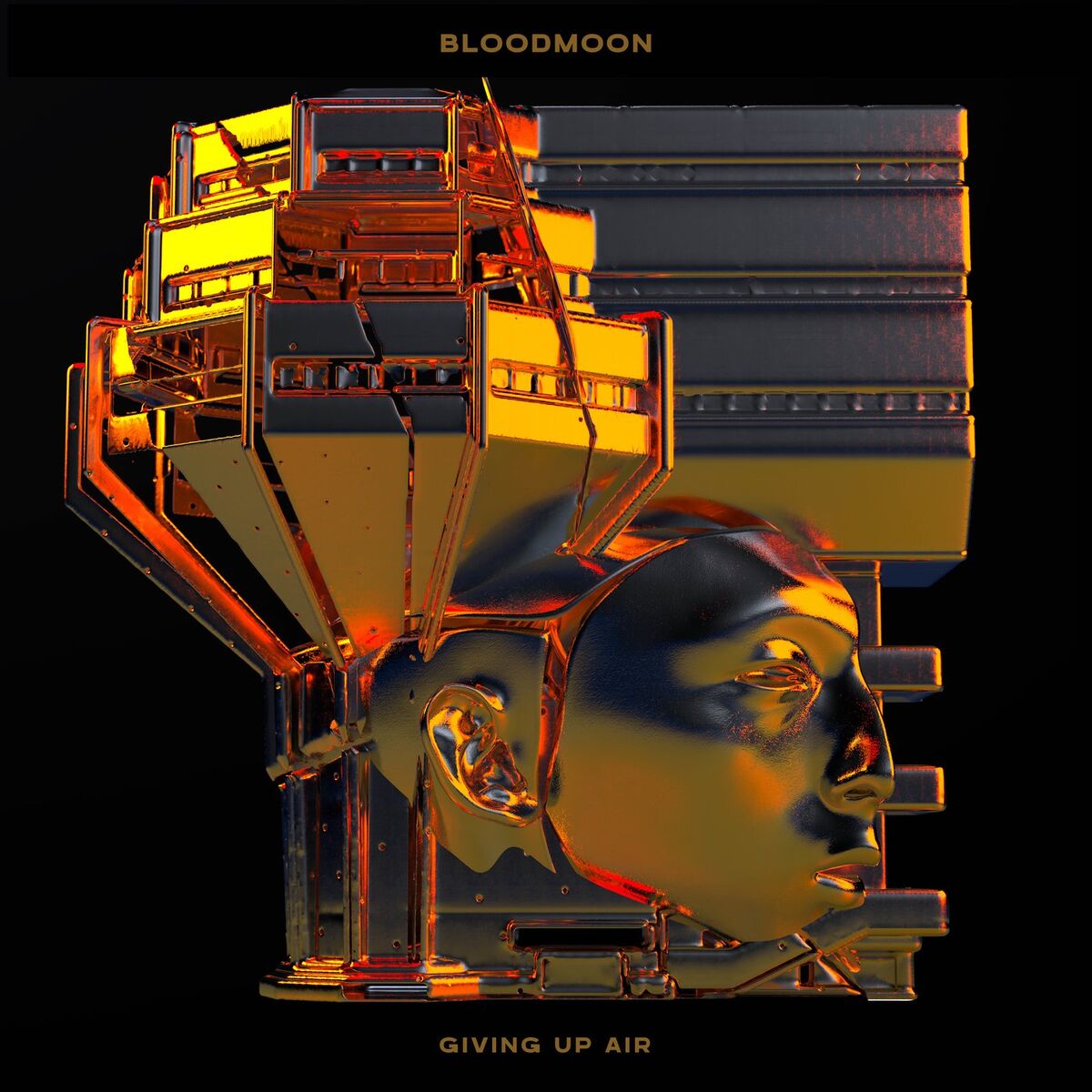 Album cover of Giving Up Air