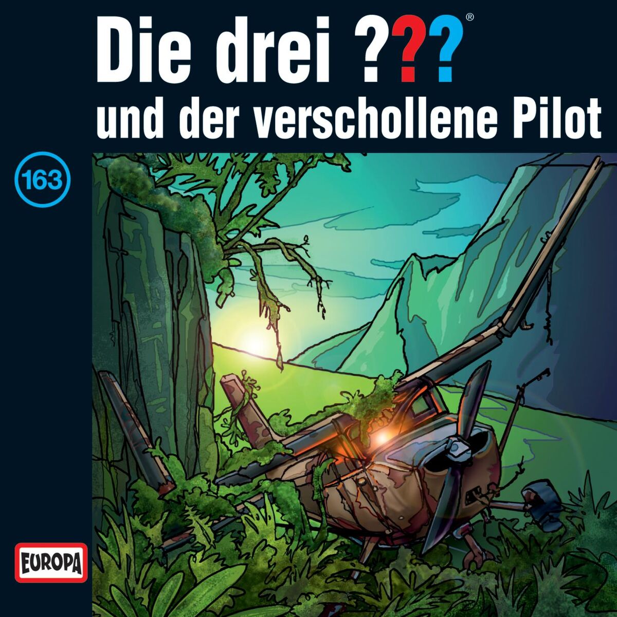 Album cover of 163 - und der verschollene Pilot