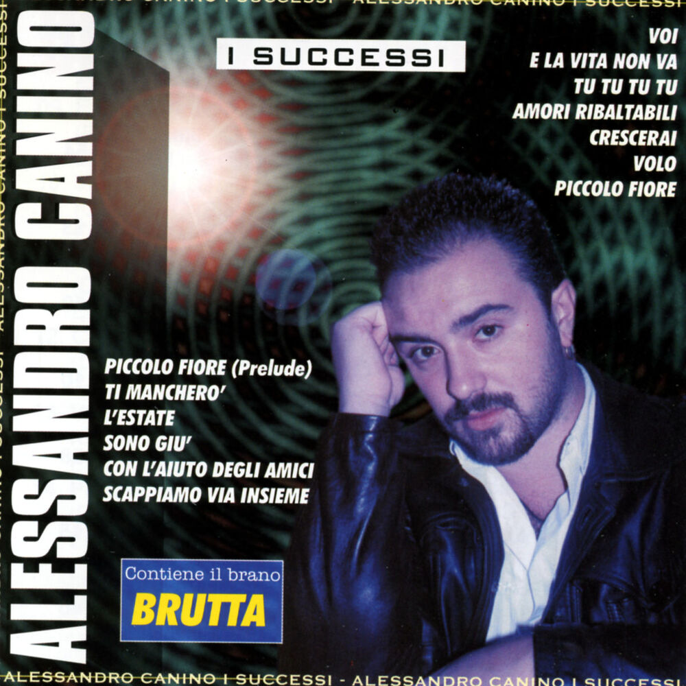 Picture of I Successi
