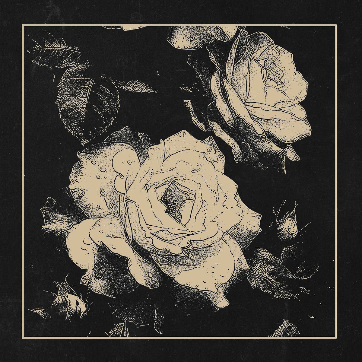 Album cover of You Eclipsed by Me