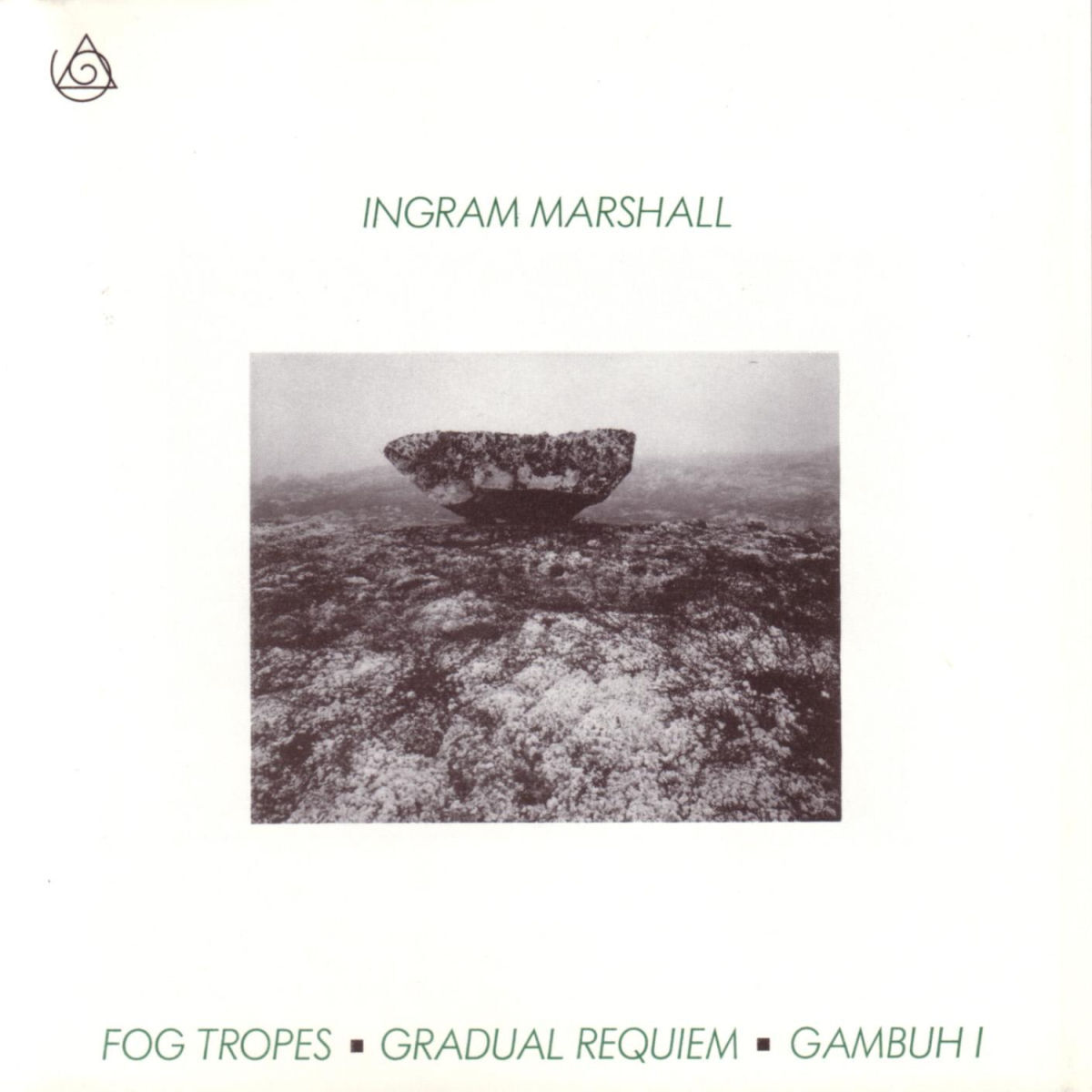 Album cover of Fog Tropes - Gradual Requiem