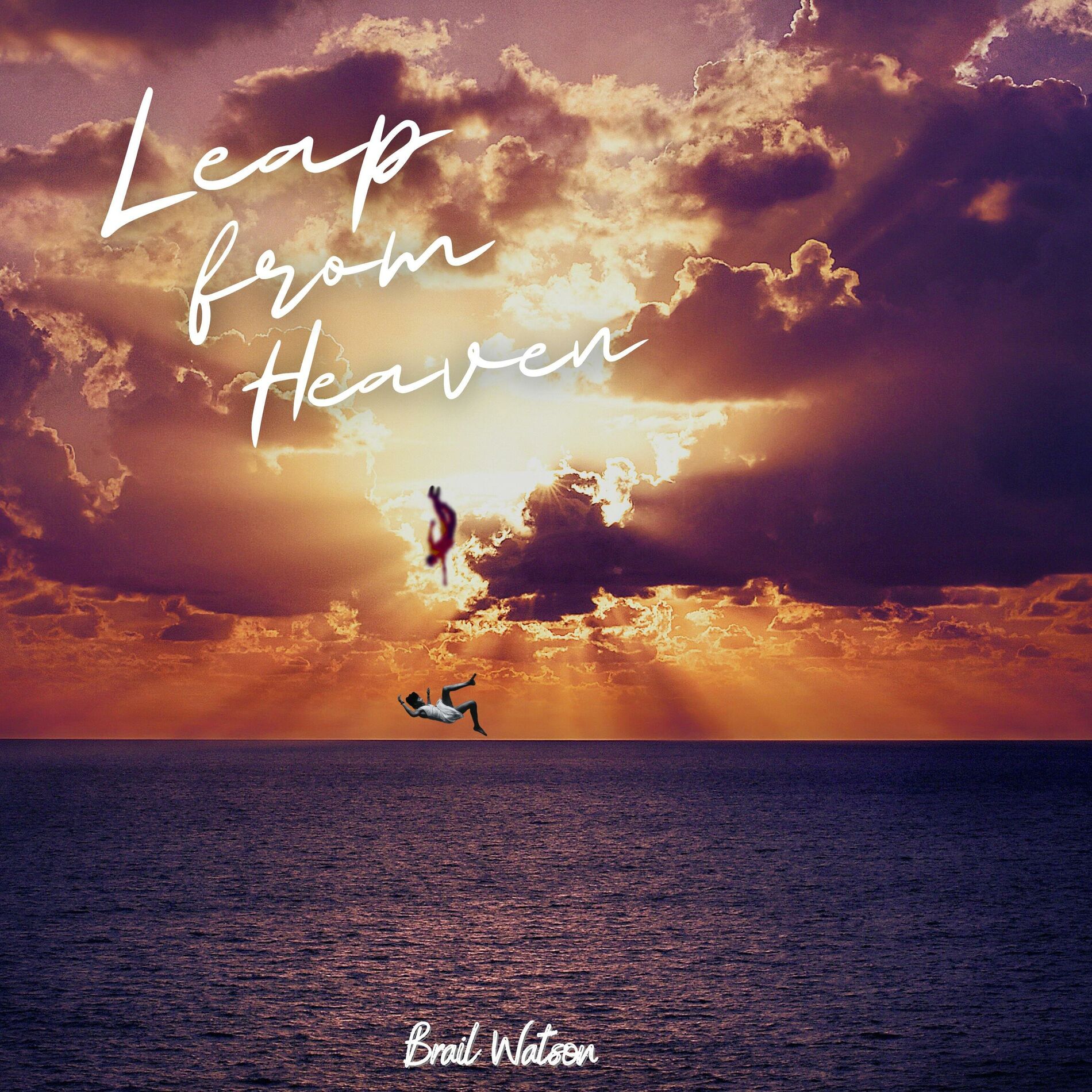 Album cover of Leap from heaven