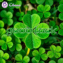 Cover of Good Luck