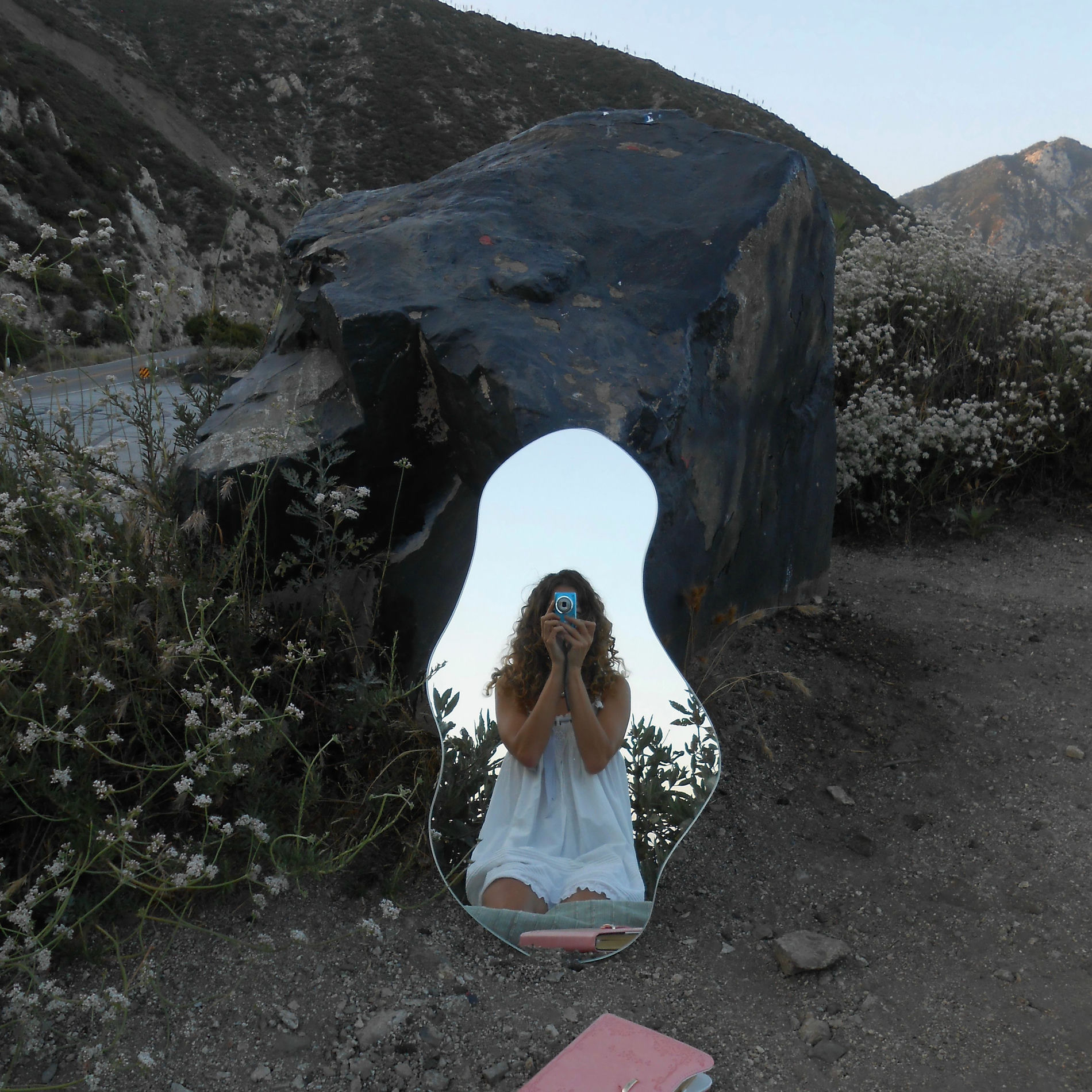 Album cover of blushing, brb