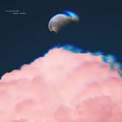 Cover of Moonchild