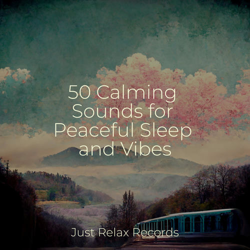 Melancholy Melodies Echo On