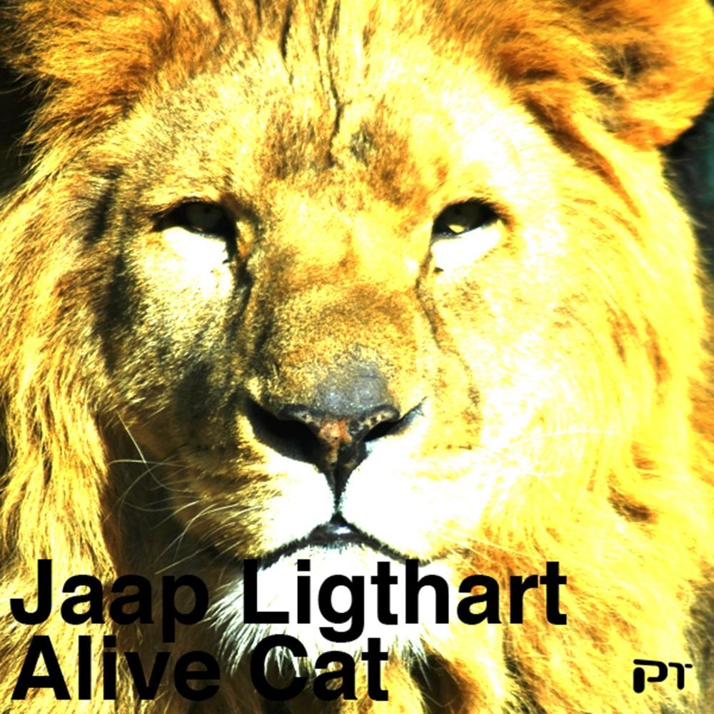 Picture of Alive Cat