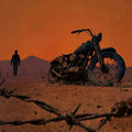 Steel horses