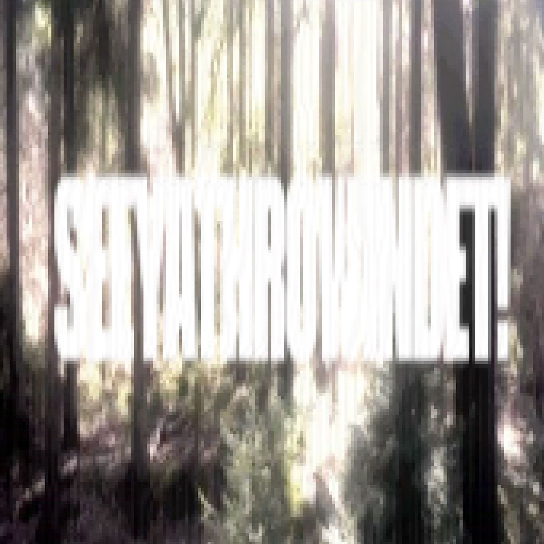 Album cover of seeyathrowindet