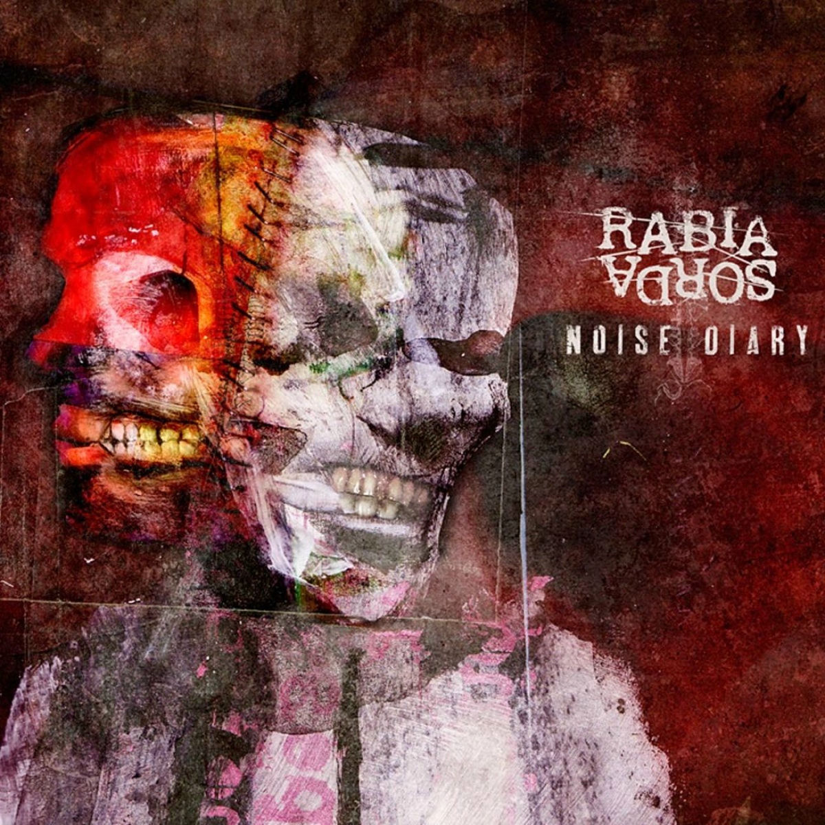 Album cover of Noise Diary