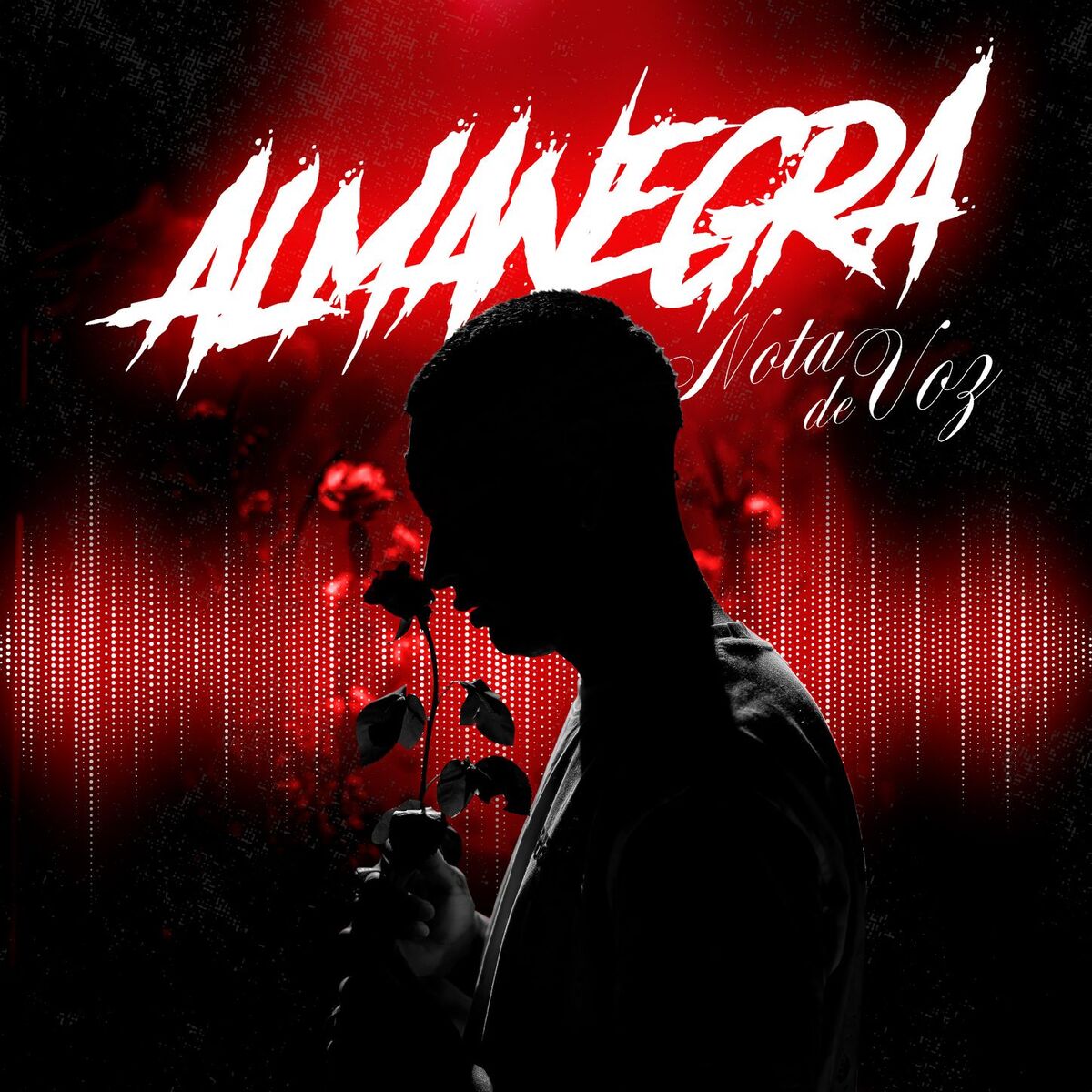 Album cover of Nota de Voz