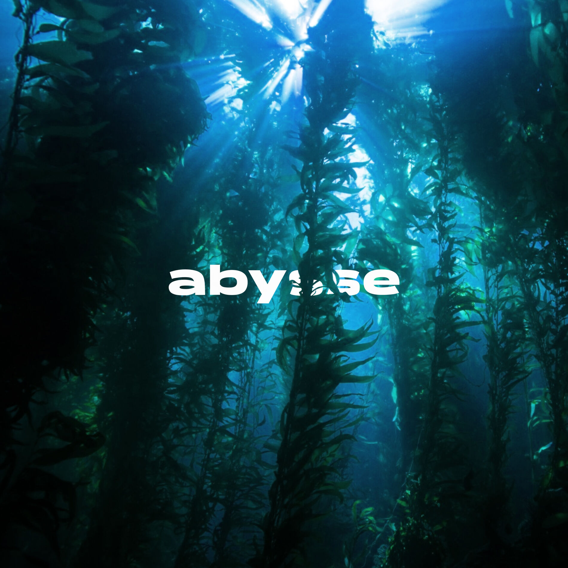 Album cover of Abysse