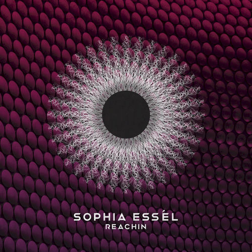 Reachin artwork