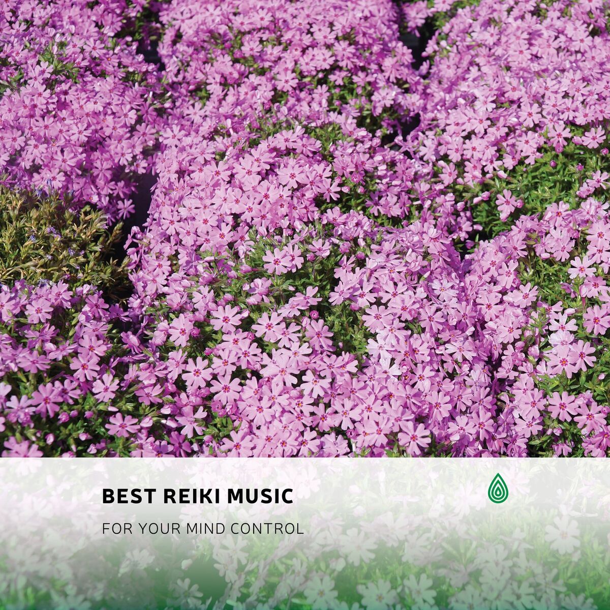 Album cover of Earth Spiritual Restful Bird Sounds