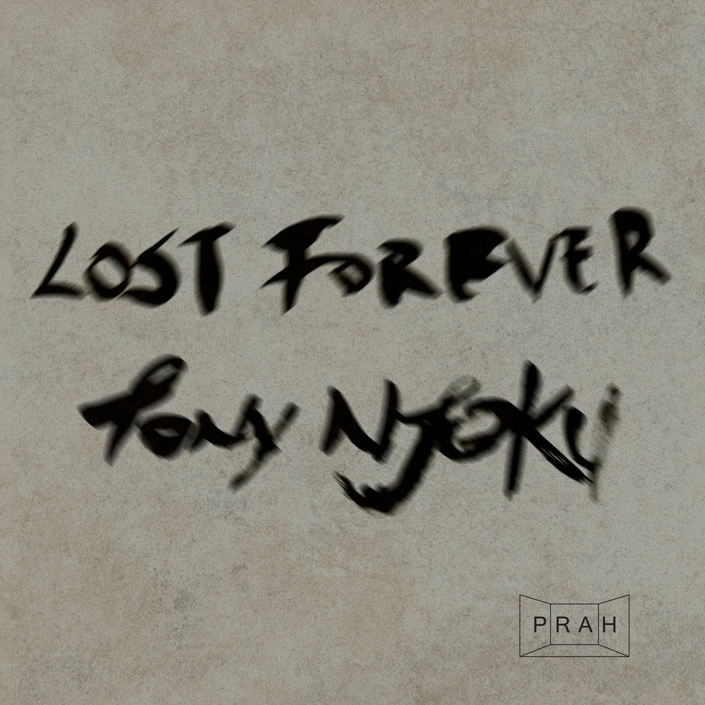 Cover du titre Lost Forever