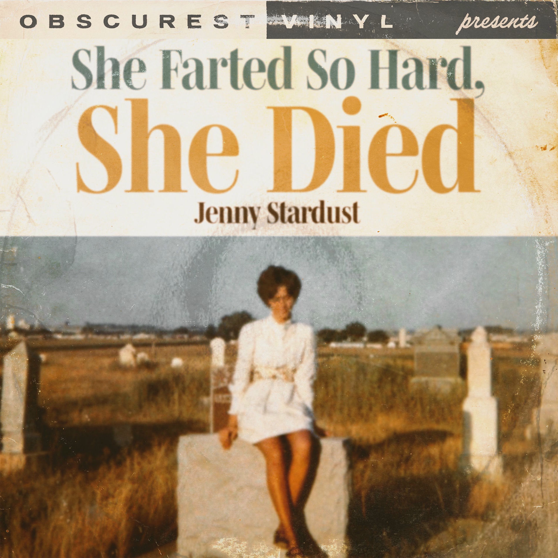 Album cover of She Farted So Hard, She Died