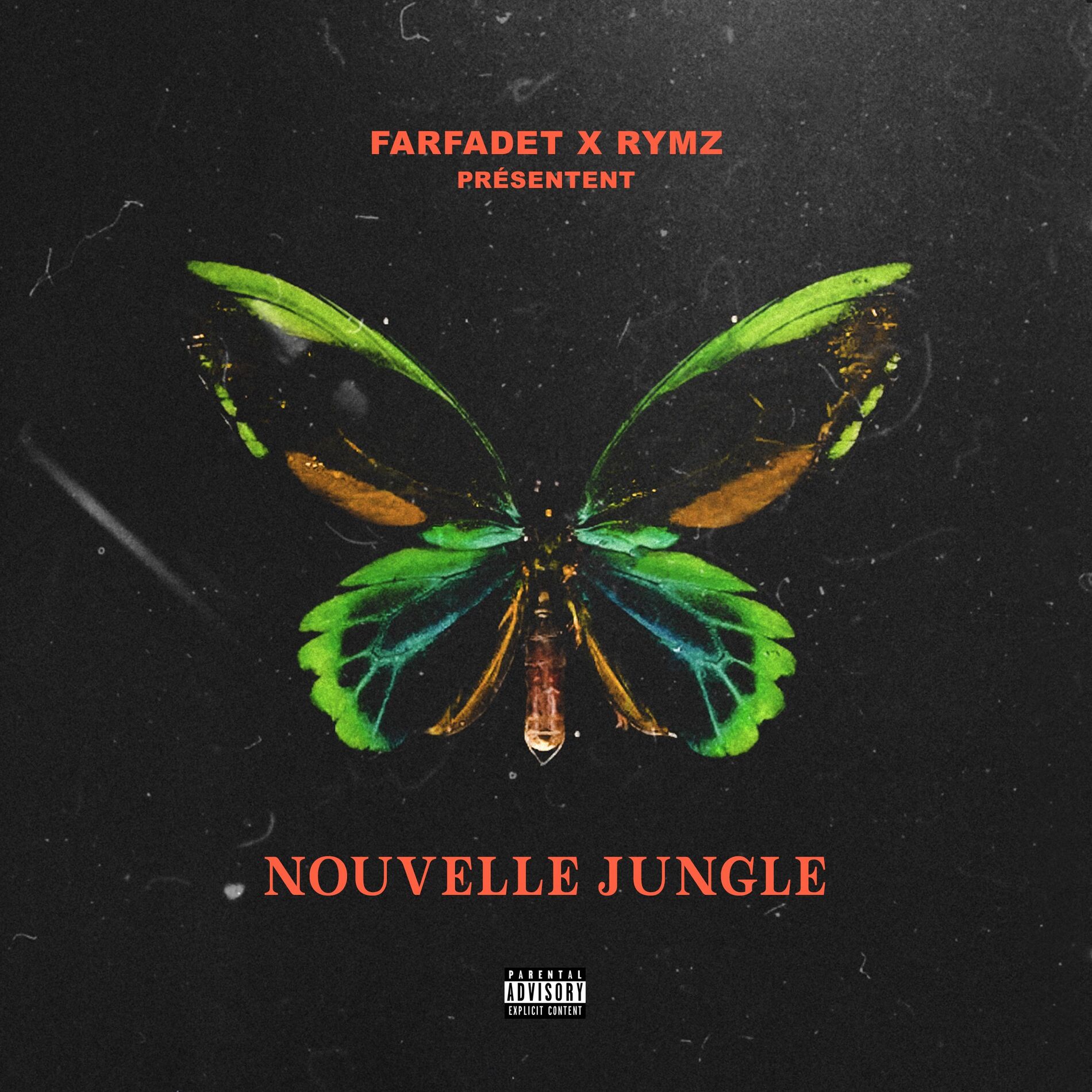 Album cover of Nouvelle Jungle