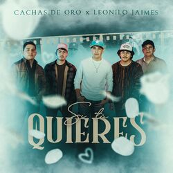 Cover of Si Tú Quieres