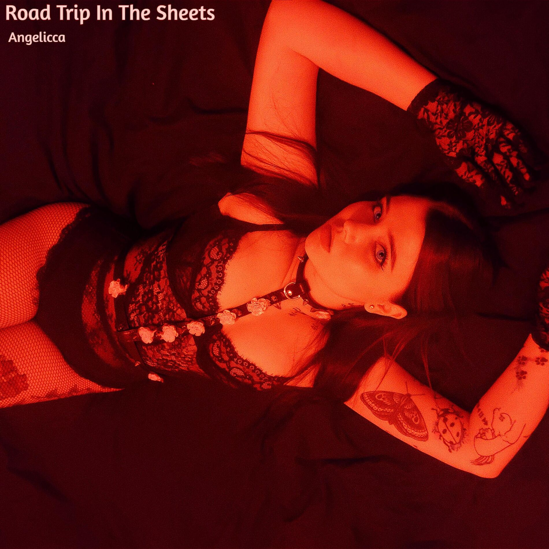 Album cover of Road Trip In The Sheets