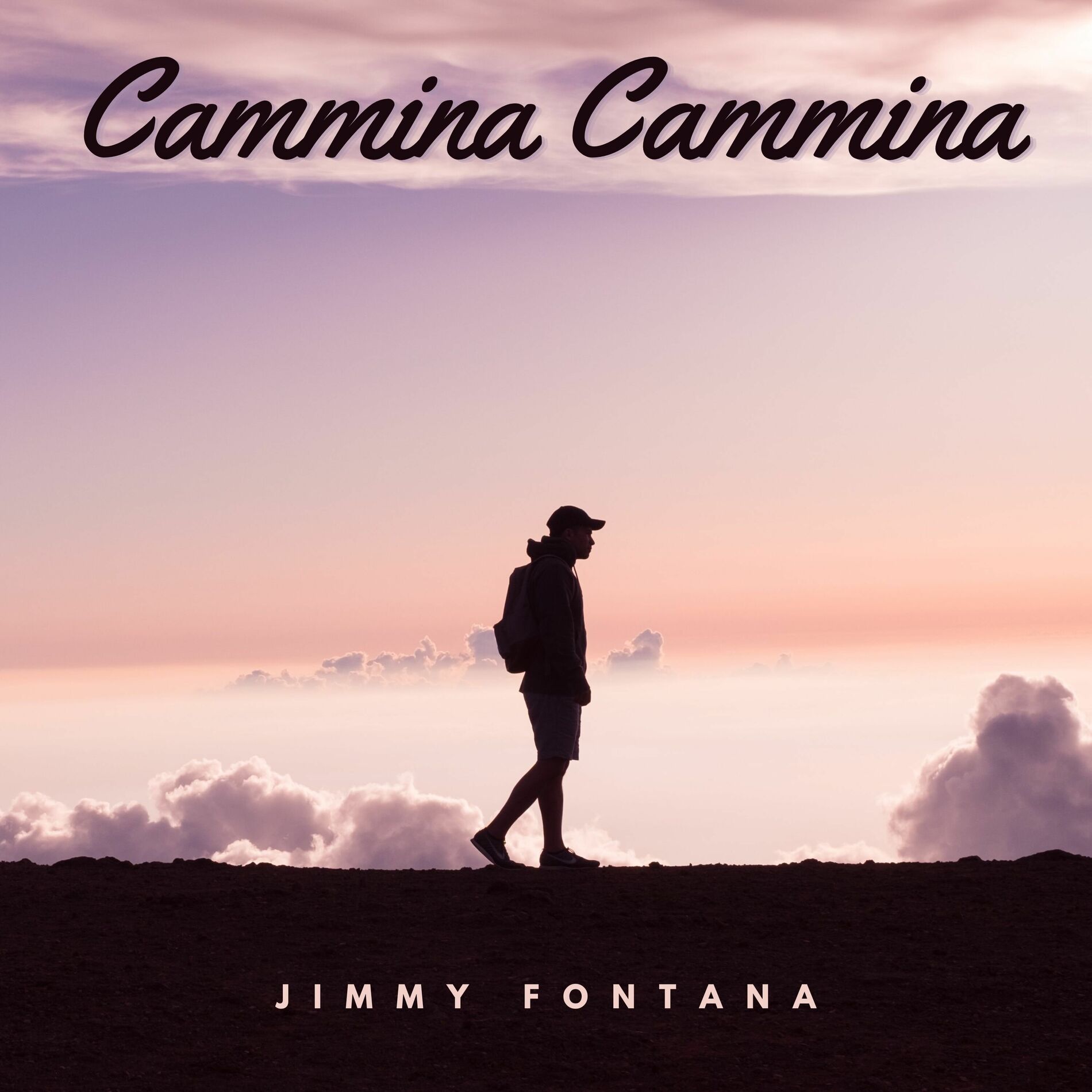 Album cover of Cammina Cammina
