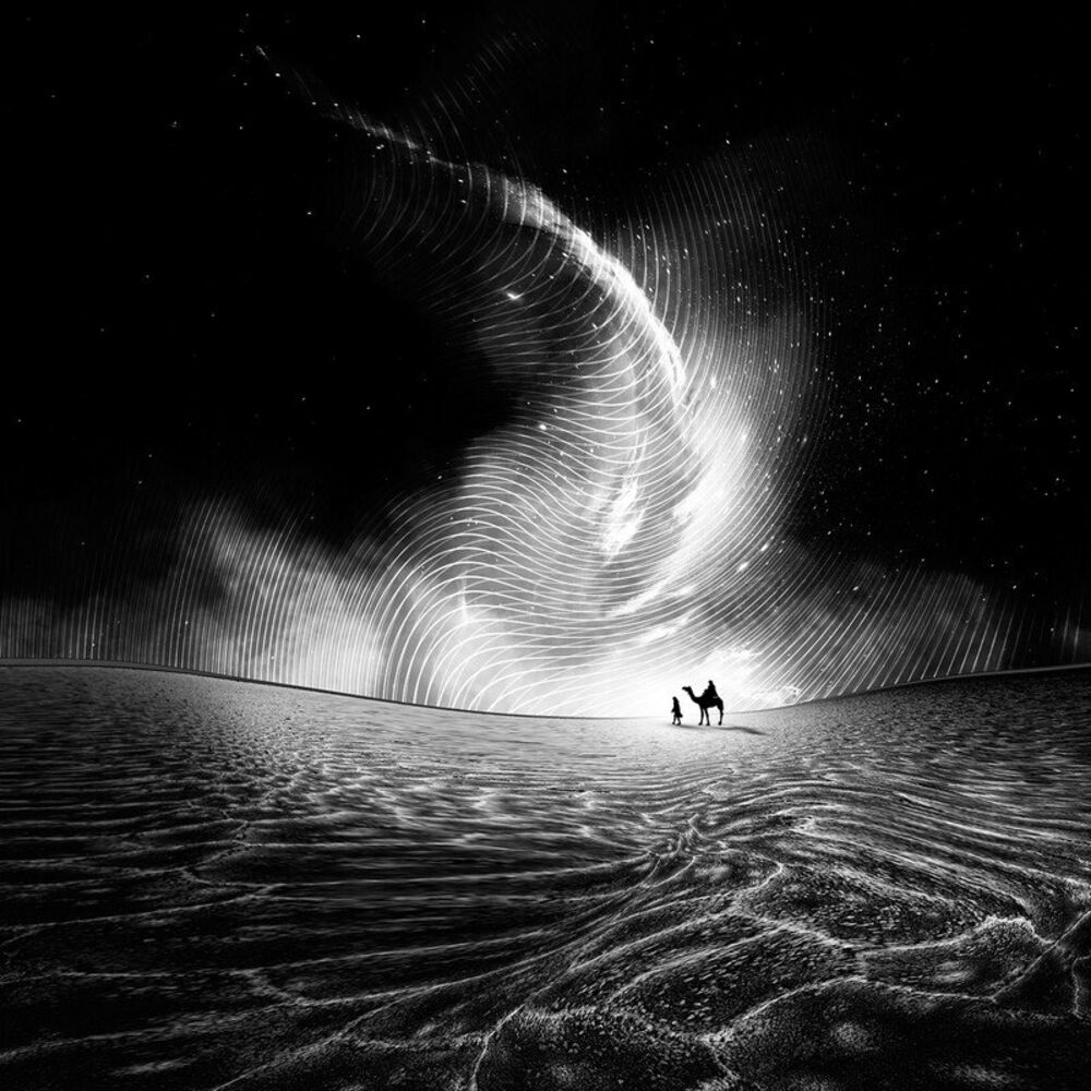 Picture of Magnetic Dreams
