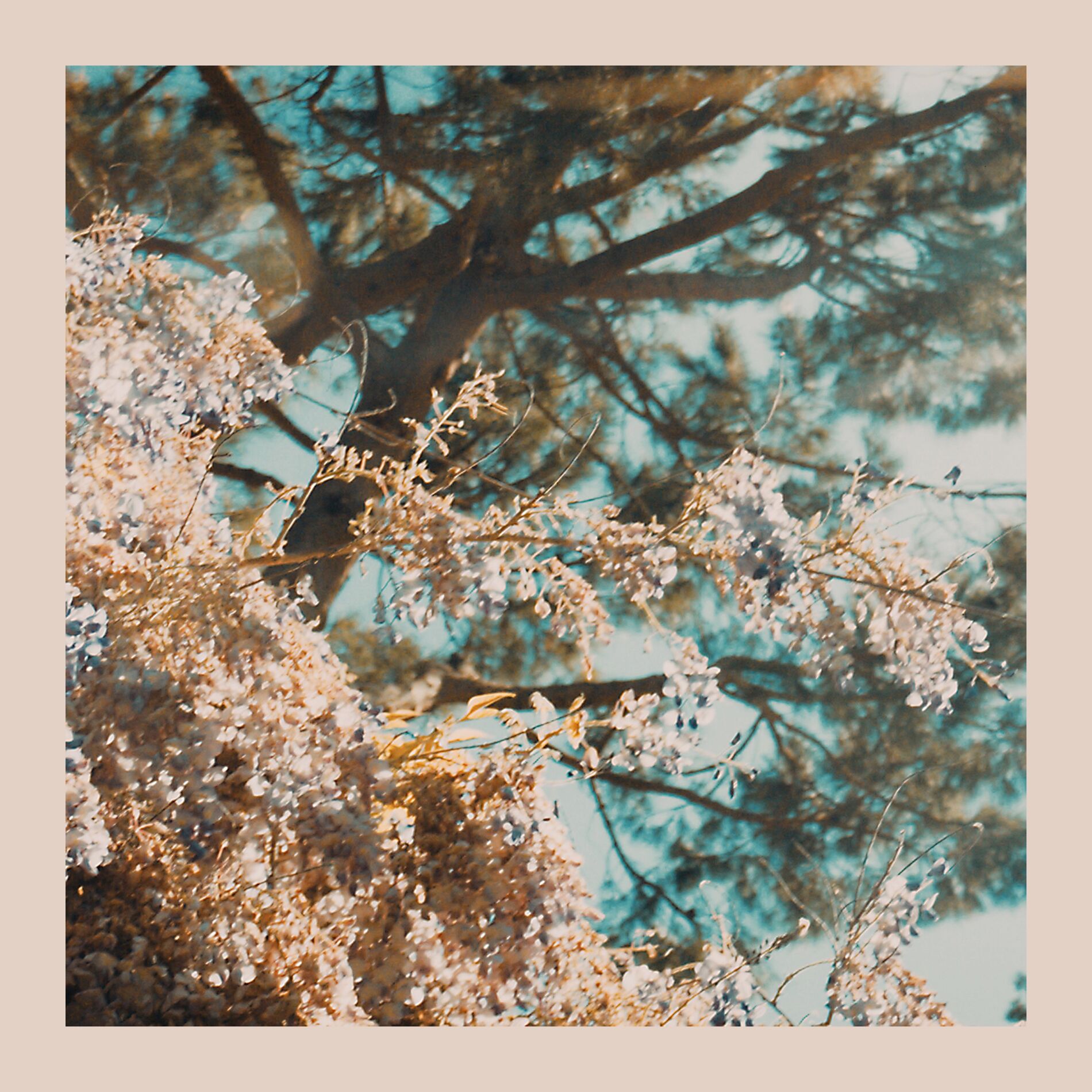 Album cover of I’m Here